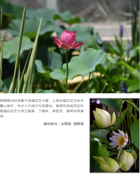 1568787048(1).png