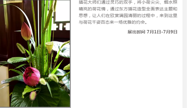 1568787084(1).png