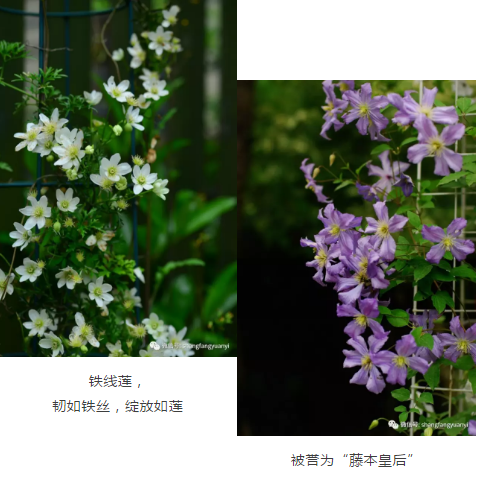 1568872689(1).png