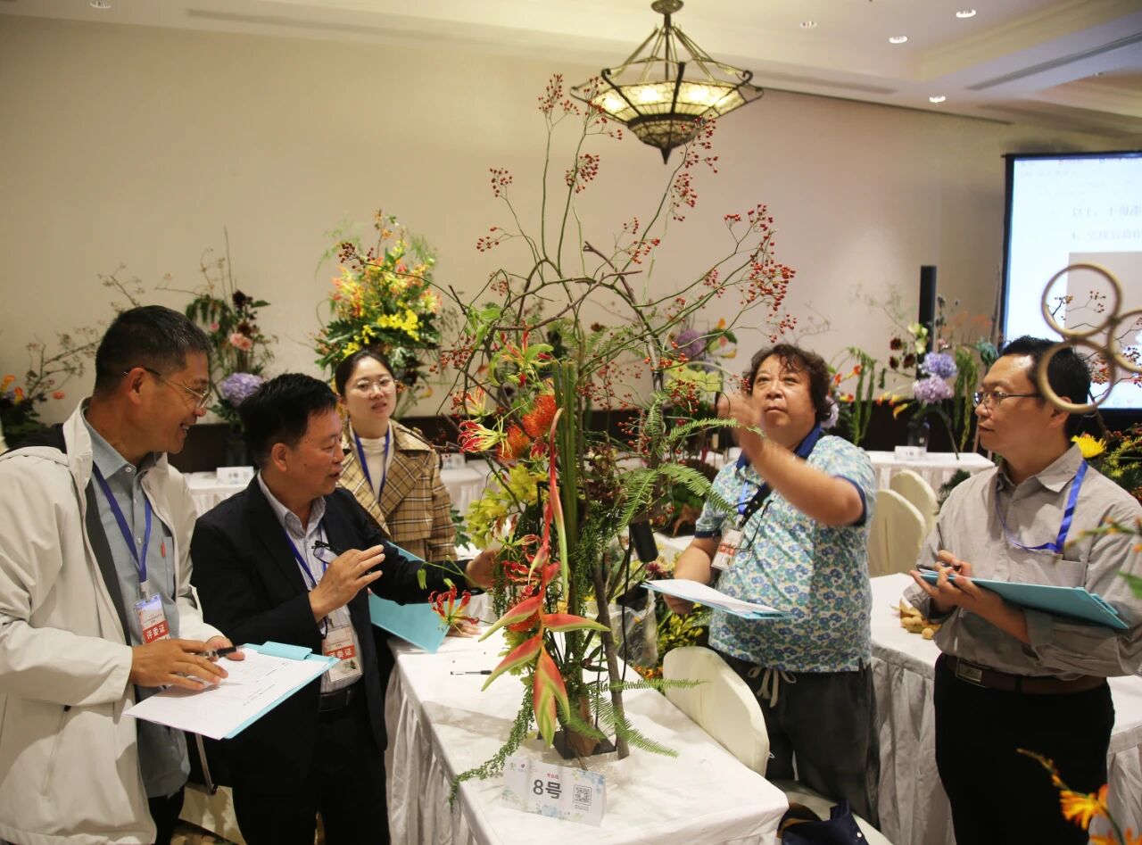 1762139402125426.jpg 1762139402125426.jpg