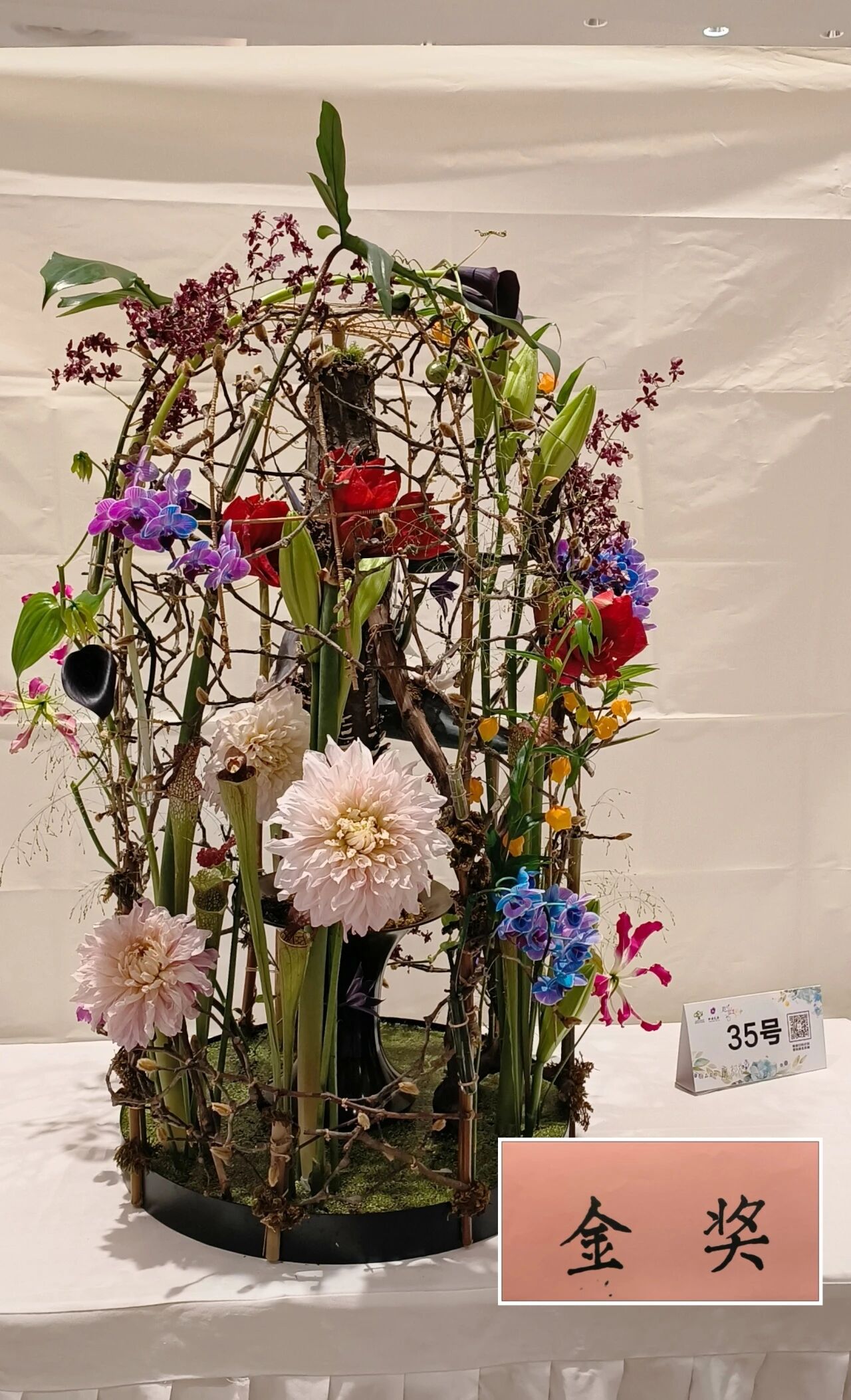 1762142309632508.jpg 1762142309632508.jpg