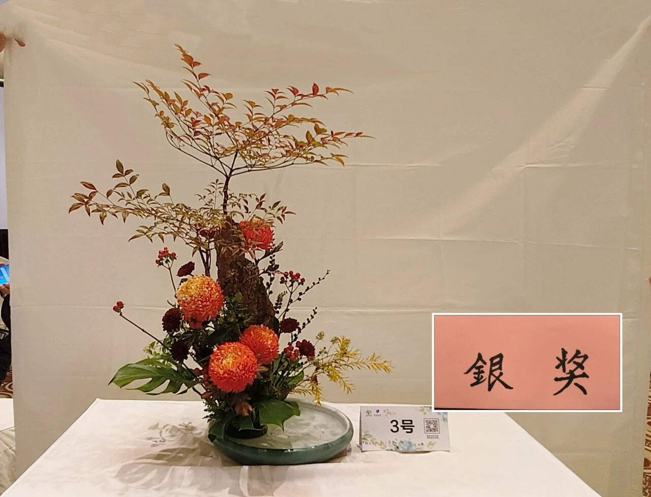 1762142574373285.jpg 1762142574373285.jpg