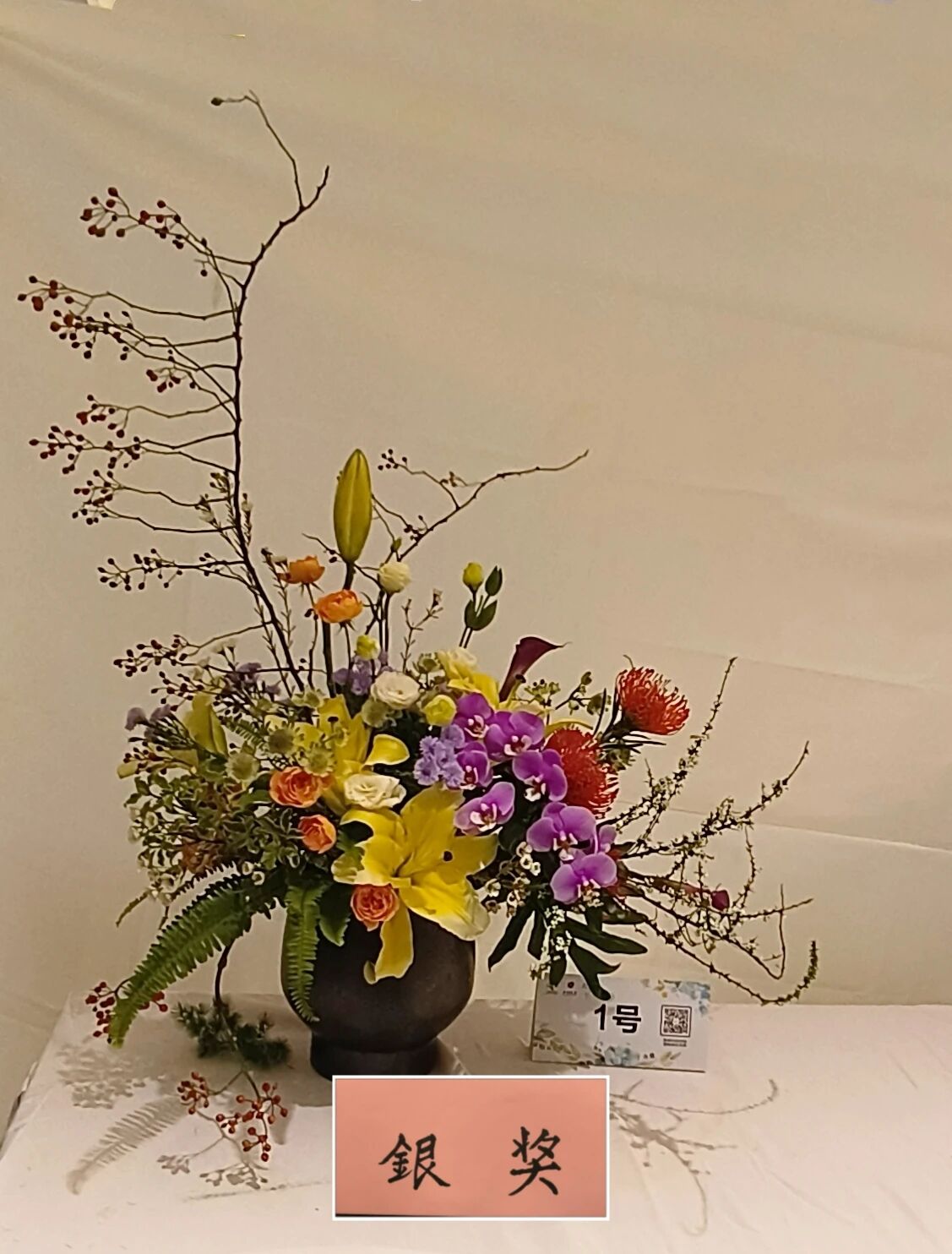 1762142754211748.jpg 1762142754211748.jpg