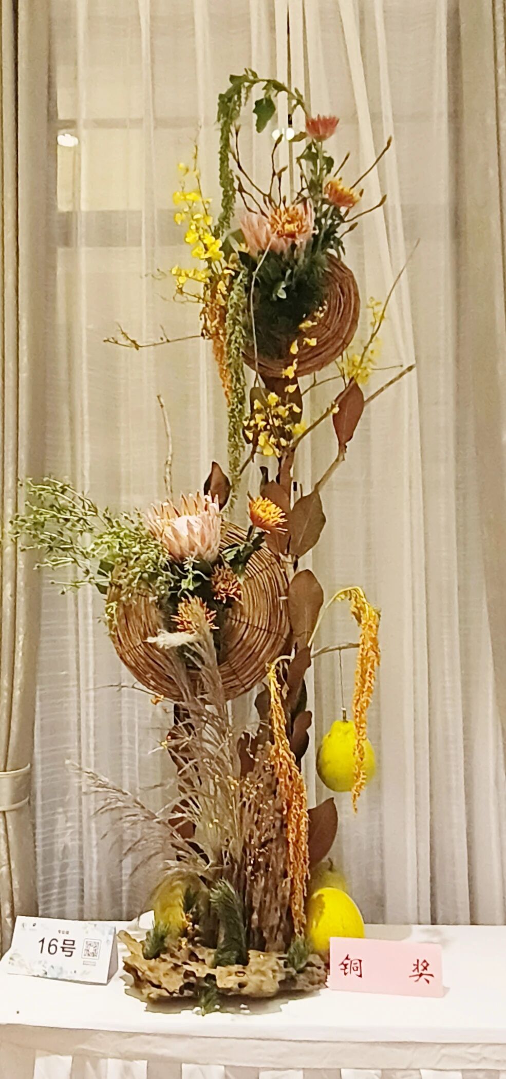 1762142869467147.jpg 1762142869467147.jpg