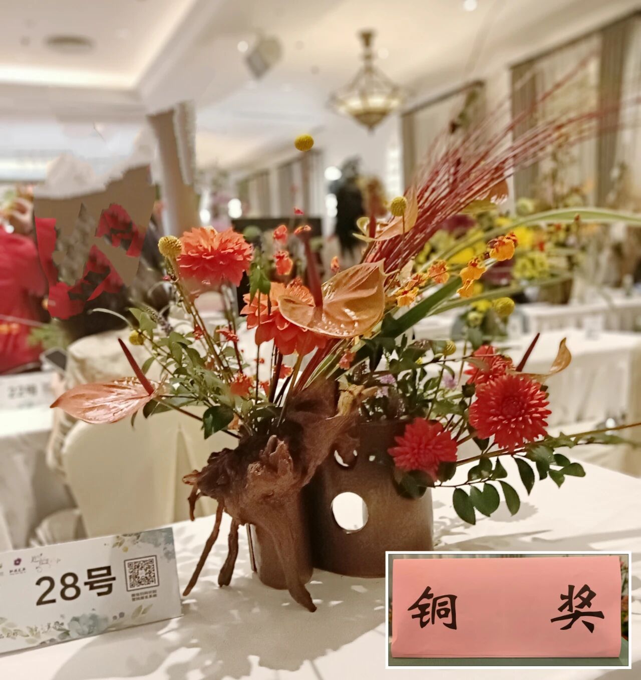 1762147234972113.jpg 1762147234972113.jpg