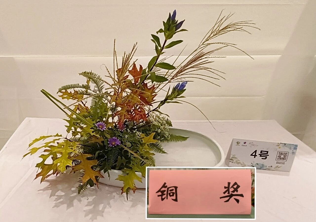 1762147299818228.jpg 1762147299818228.jpg