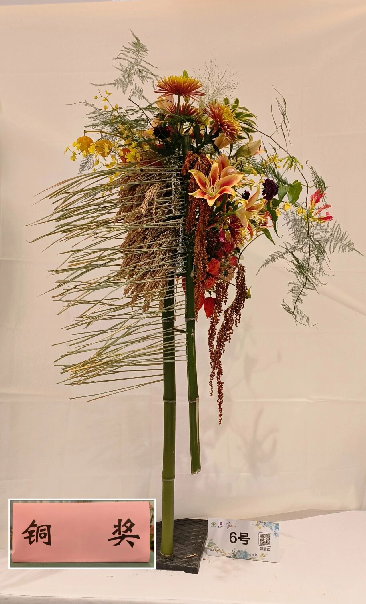 1762147512820297.jpg 1762147512820297.jpg